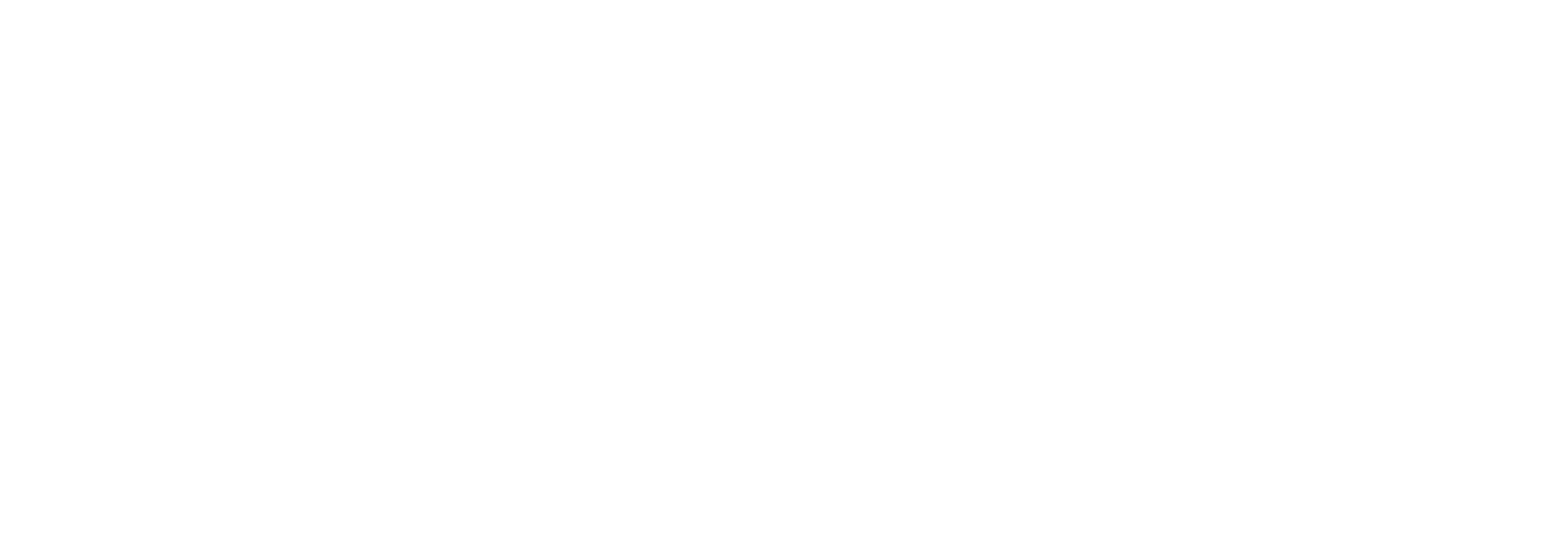 ADSSA Logo - White preview